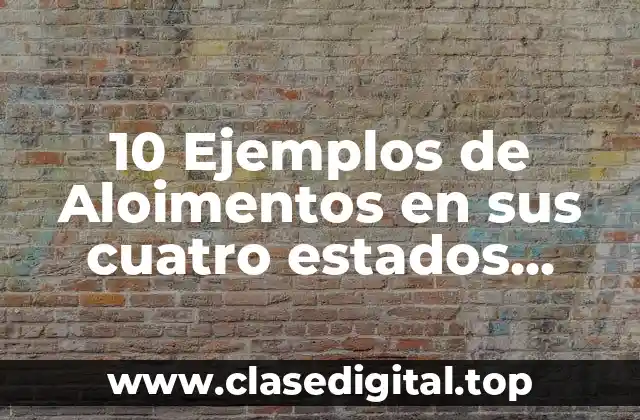 10 Ejemplos de Aloimentos en sus cuatro estados fisicos