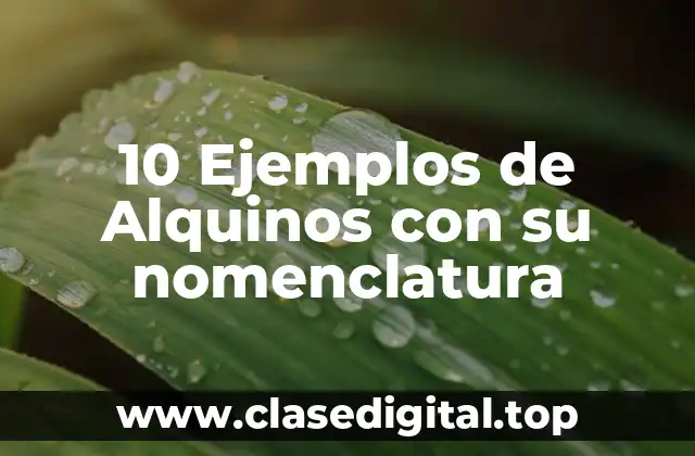 10 Ejemplos de Alquinos con su nomenclatura