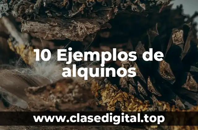 10 Ejemplos de alquinos