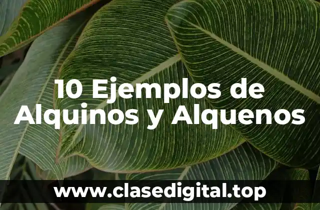 10 Ejemplos de Alquinos y Alquenos