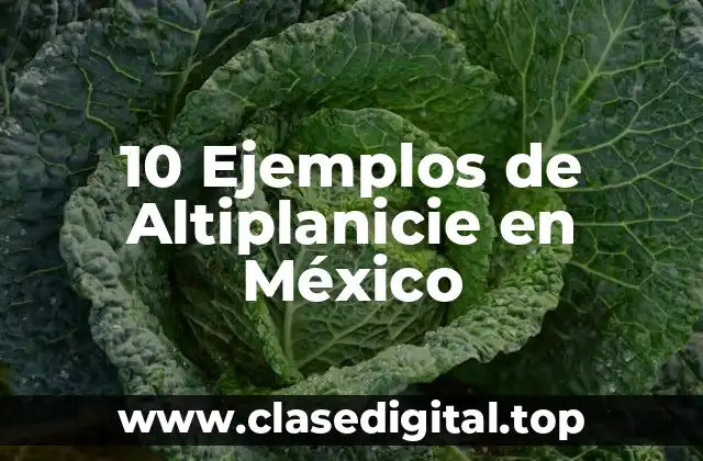 10 Ejemplos de Altiplanicie en México