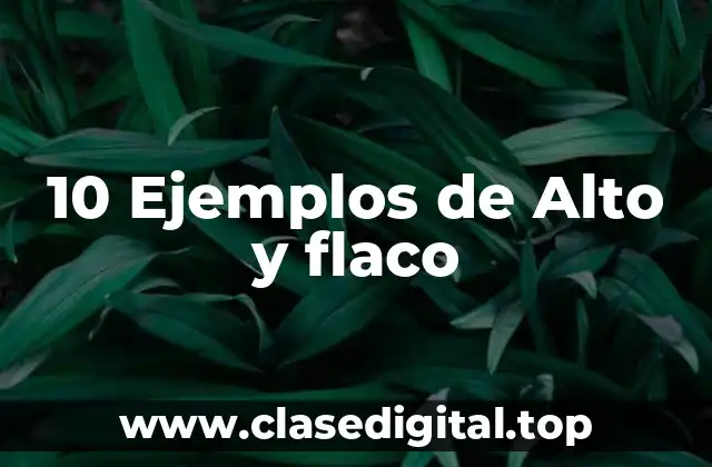 10 Ejemplos de Alto y flaco