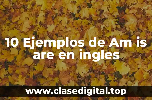 10 Ejemplos de Am is are en ingles
