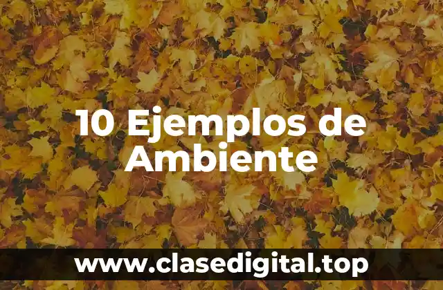 10 Ejemplos de Ambiente