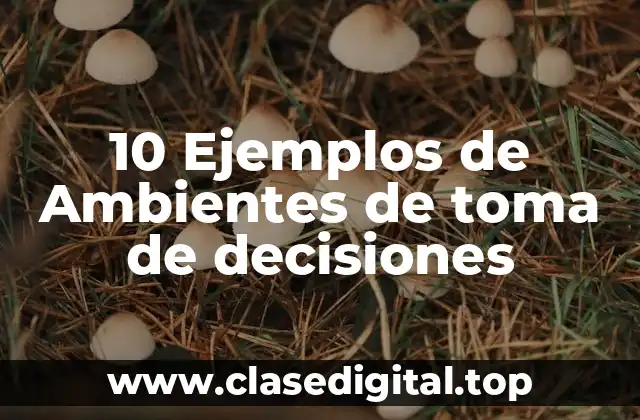 Ejemplos de ambientes de toma de decisiones