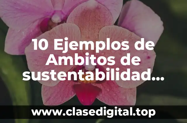 10 Ejemplos de Ambitos de sustentabilidad económica