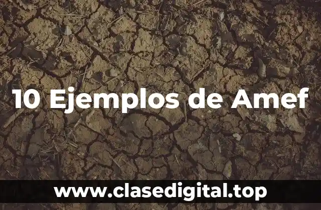 10 Ejemplos de Amef