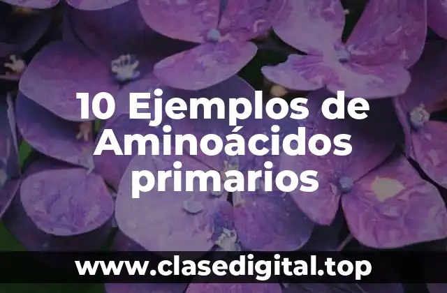 10 Ejemplos de Aminoácidos primarios