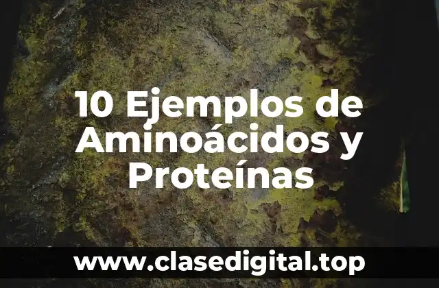 10 Ejemplos de Aminoácidos y Proteínas