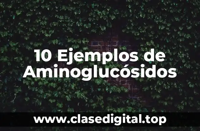 10 Ejemplos de Aminoglucósidos