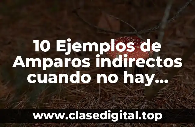 10 Ejemplos de Amparos indirectos cuando no hay emplazamiento