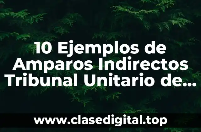 10 Ejemplos de Amparos Indirectos Tribunal Unitario de Circuitos