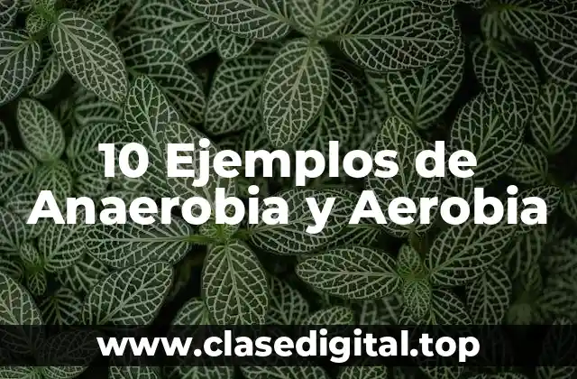 10 Ejemplos de Anaerobia y Aerobia