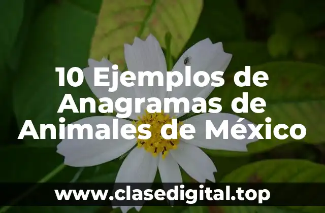 10 Ejemplos de Anagramas de Animales de México