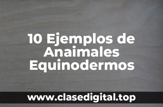 Ejemplos de anaimales equinodermos