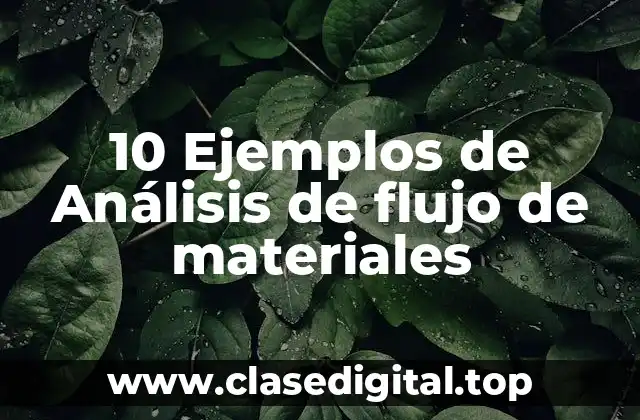 10 Ejemplos de Análisis de flujo de materiales