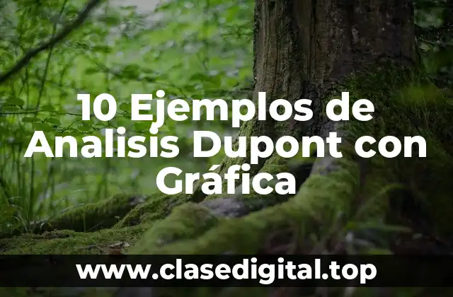 10 Ejemplos de Analisis Dupont con Gráfica
