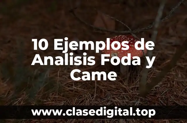 Ejemplos de análisis foda y came