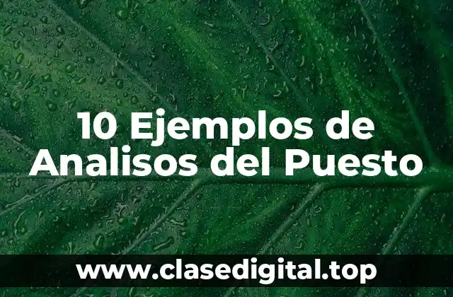 10 Ejemplos de Analisos del Puesto