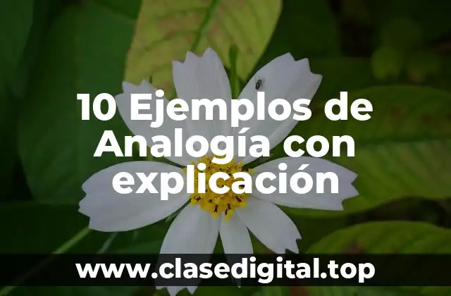10 Ejemplos de Analogía con explicación