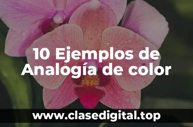 10 Ejemplos de Analogía de color