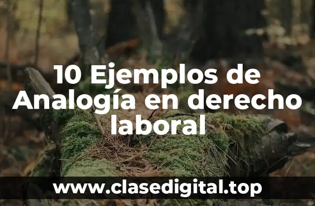 10 Ejemplos de Analogía en derecho laboral