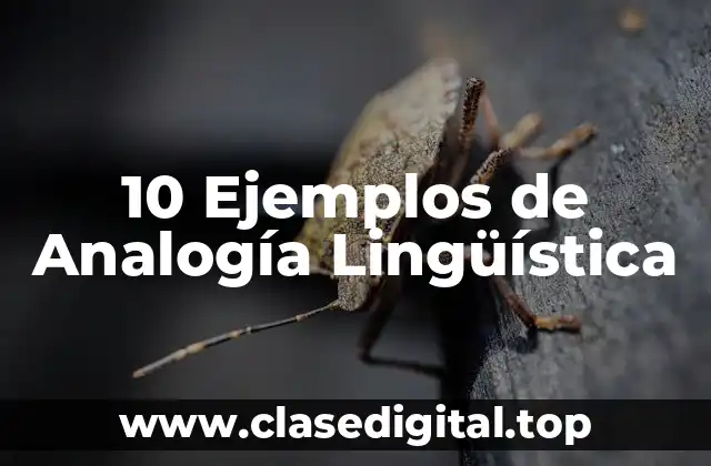 10 Ejemplos de Analogía Lingüística