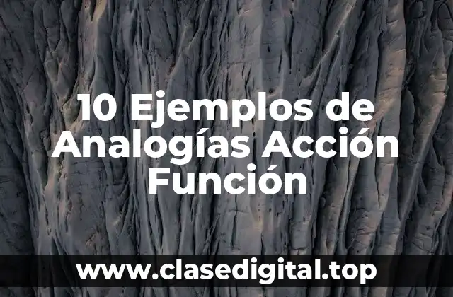 10 Ejemplos de Analogías Acción Función
