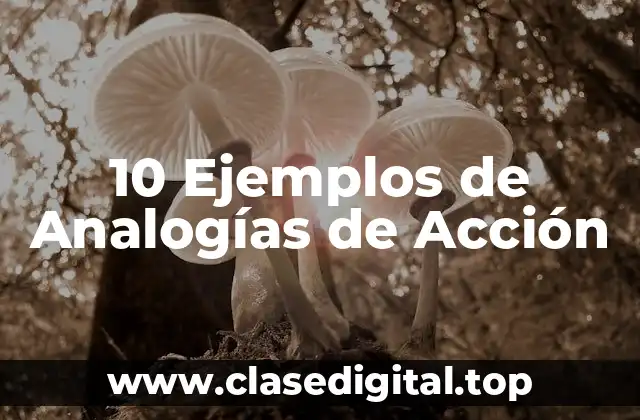 10 Ejemplos de Analogías de Acción