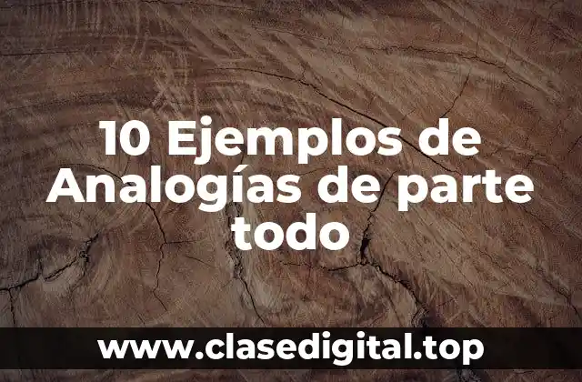 10 Ejemplos de Analogías de parte todo