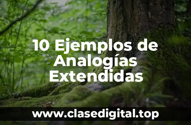 10 Ejemplos de Analogías Extendidas
