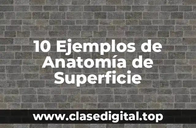 10 Ejemplos de Anatomía de Superficie