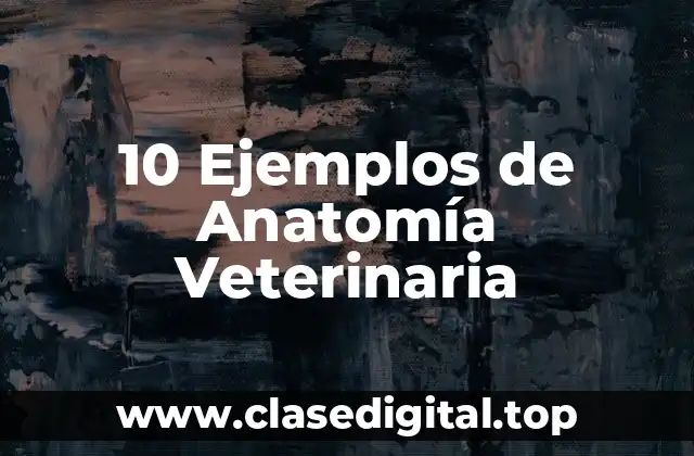 10 Ejemplos de Anatomía Veterinaria