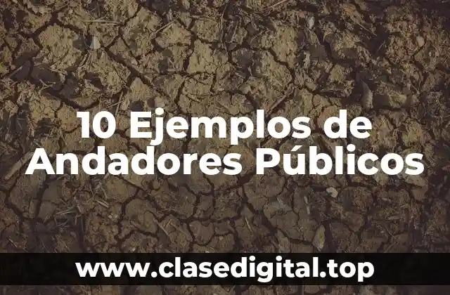 10 Ejemplos de Andadores Públicos