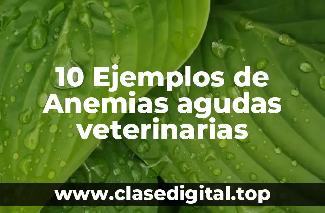 10 Ejemplos de Anemias agudas veterinarias