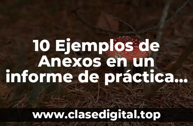 10 Ejemplos de Anexos en un informe de práctica química