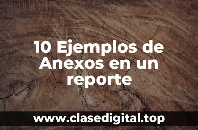 10 Ejemplos de Anexos en un reporte