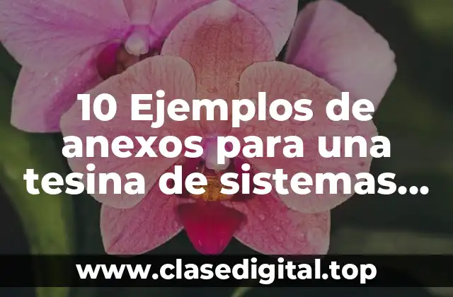 10 Ejemplos de anexos para una tesina de sistemas de iglesias