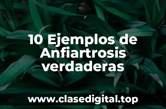 10 Ejemplos de Anfiartrosis verdaderas