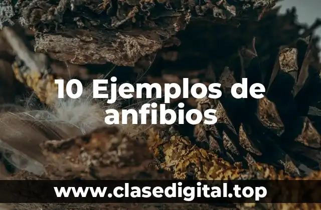 10 Ejemplos de anfibios