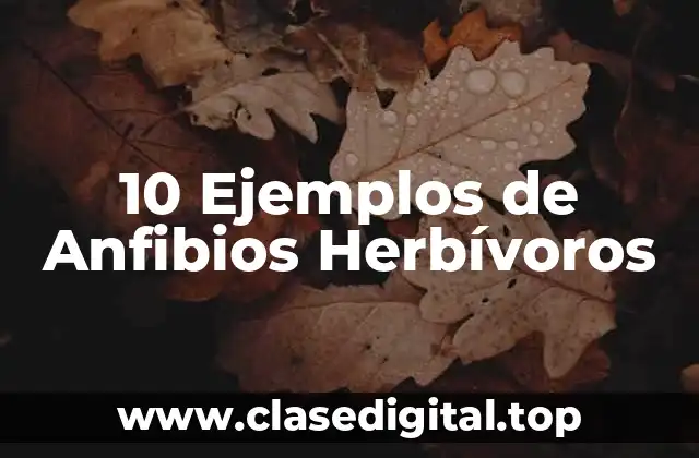 10 Ejemplos de Anfibios Herbívoros