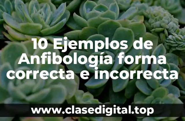 10 Ejemplos de Anfibología forma correcta e incorrecta