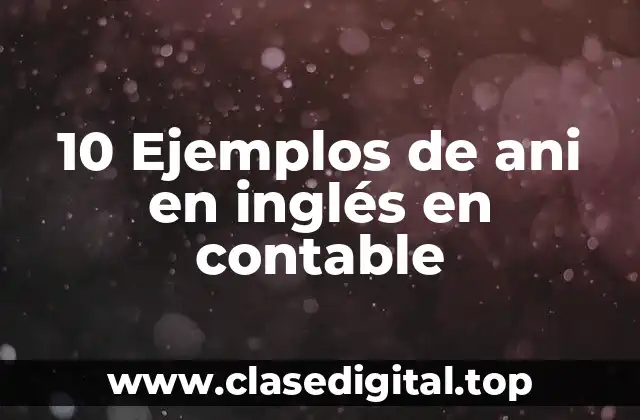 10 Ejemplos de ani en inglés en contable