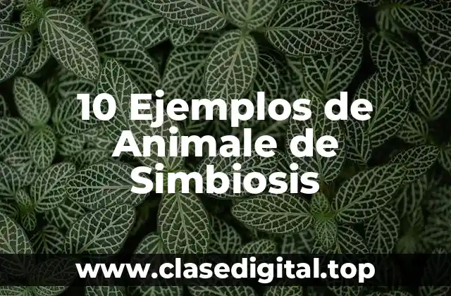 10 Ejemplos de Animale de Simbiosis