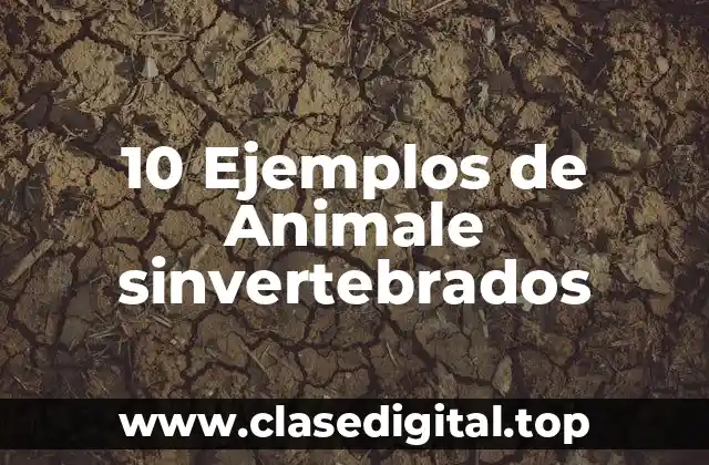 Ejemplos de Animale sinvertebrados