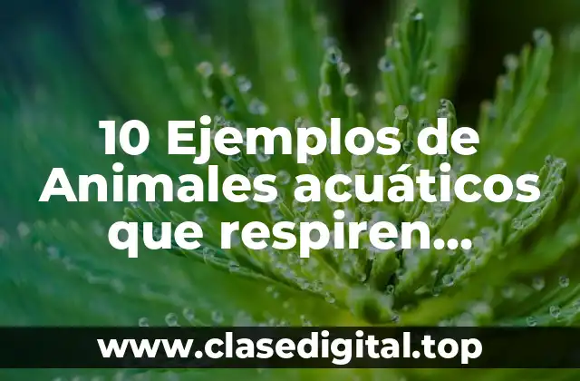 10 Ejemplos de Animales acuáticos que respiren mediante pulmones