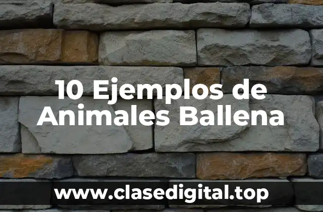 10 Ejemplos de Animales Ballena