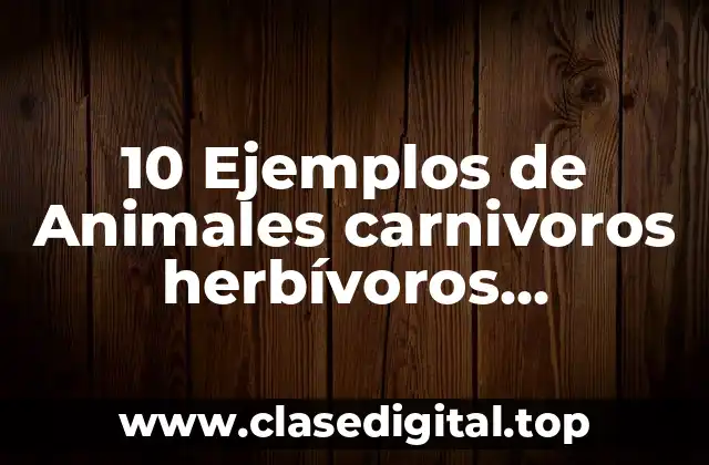 10 Ejemplos de Animales carnivoros herbívoros omnivoros