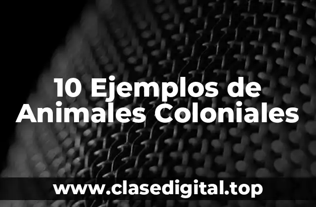 Ejemplos de Animales Coloniales