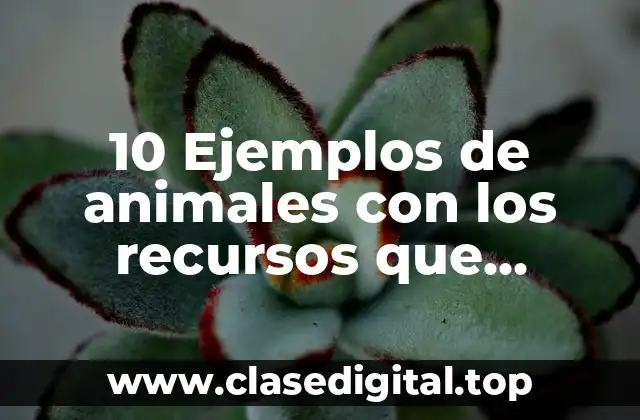 Ejemplos de animales con los recursos que necesita para vivir